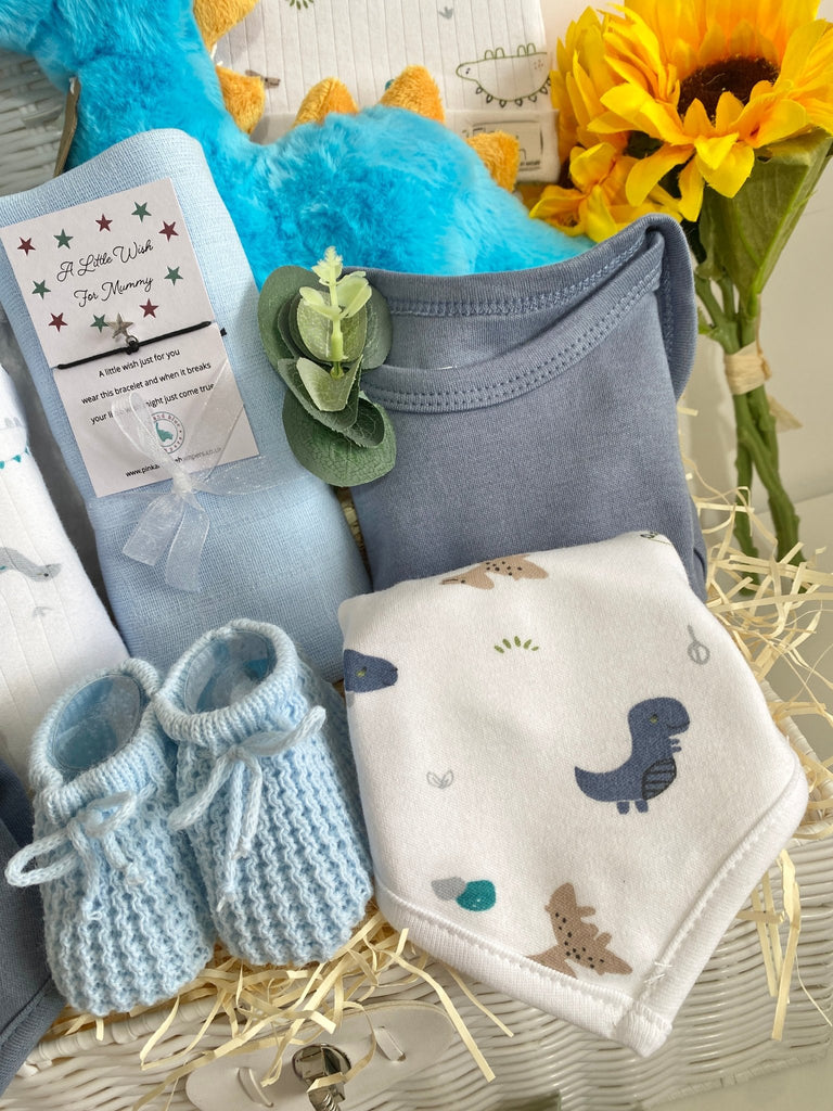 Baby Boy Gift Hamper - Dipper Diplodocus - Pink and Blue Hampers