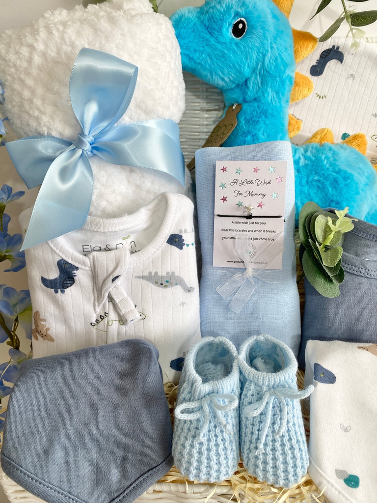 Baby Boy Gift Hamper - Dipper Diplodocus - Pink and Blue Hampers