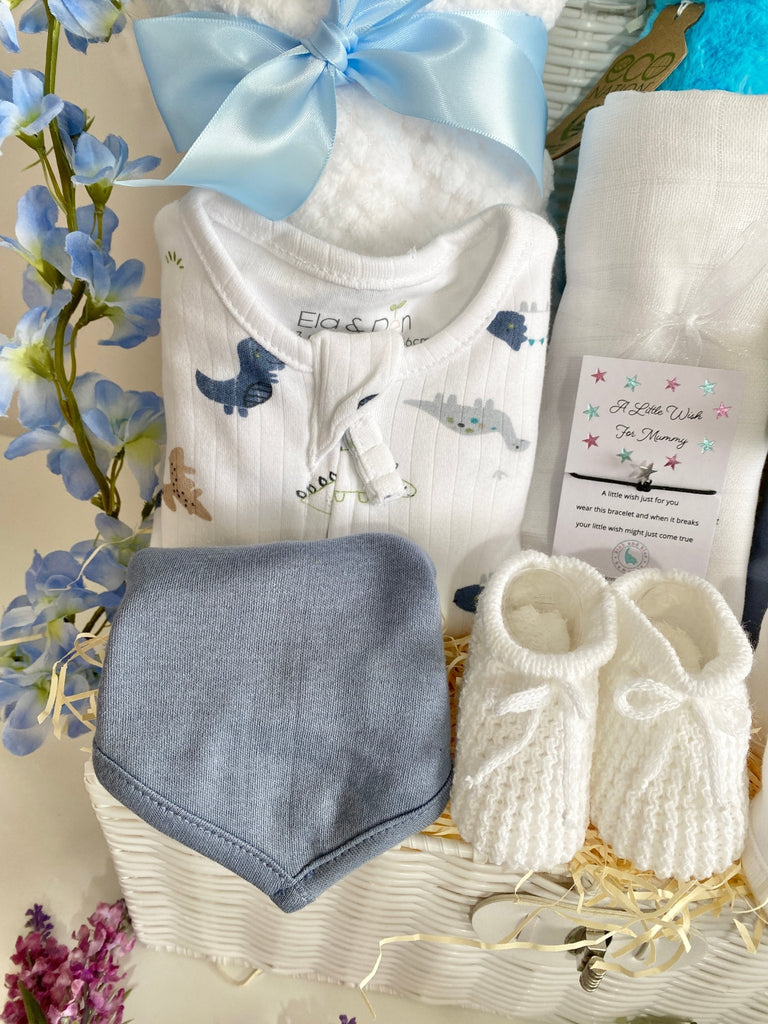 Baby Boy Gift Hamper - Dipper Diplodocus - Pink and Blue Hampers