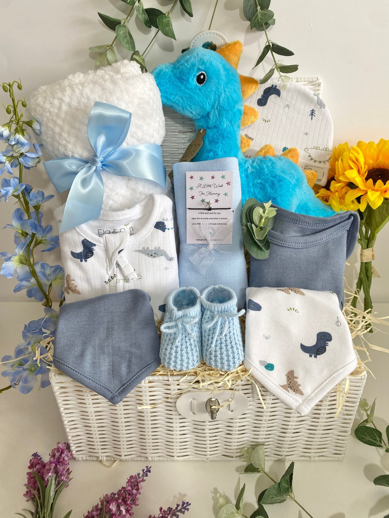 Baby Boy Gift Hamper - Dipper Diplodocus - Pink and Blue Hampers