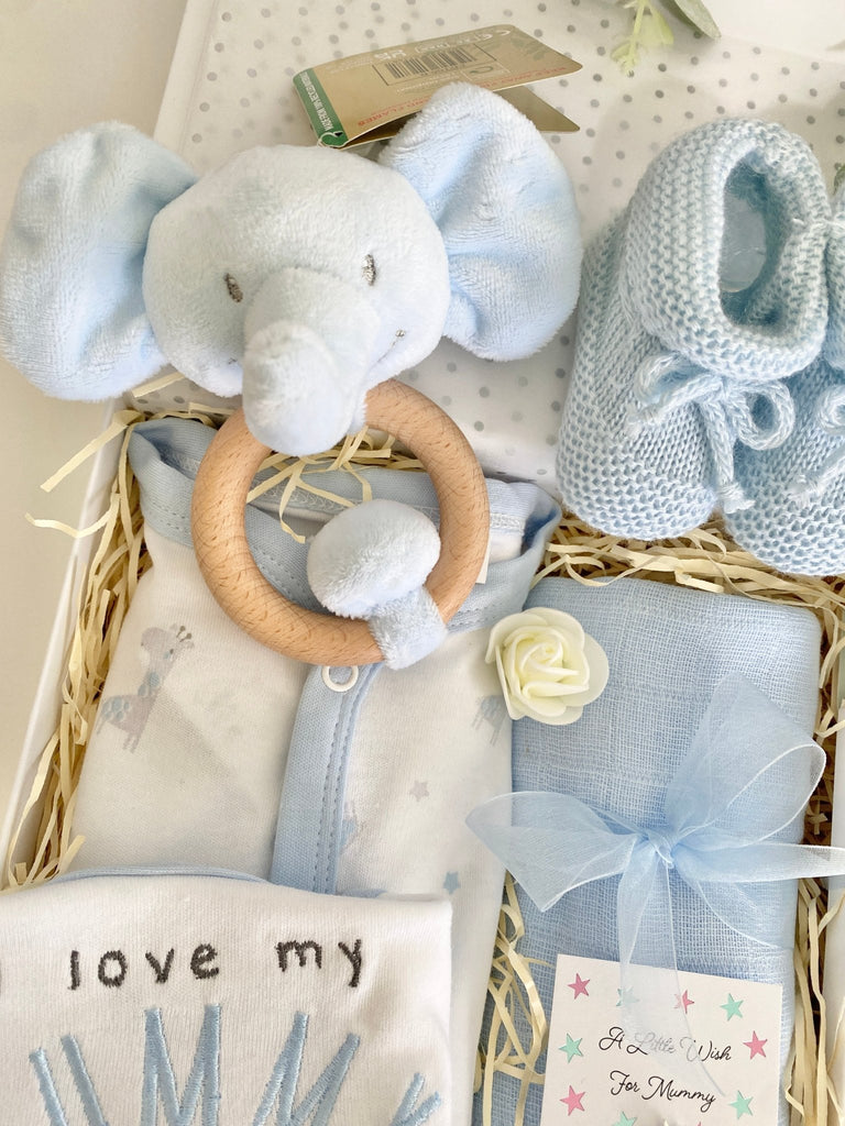 Baby Boy Gift Hamper - Elephant & Hippo Friends - Pink and Blue Hampers