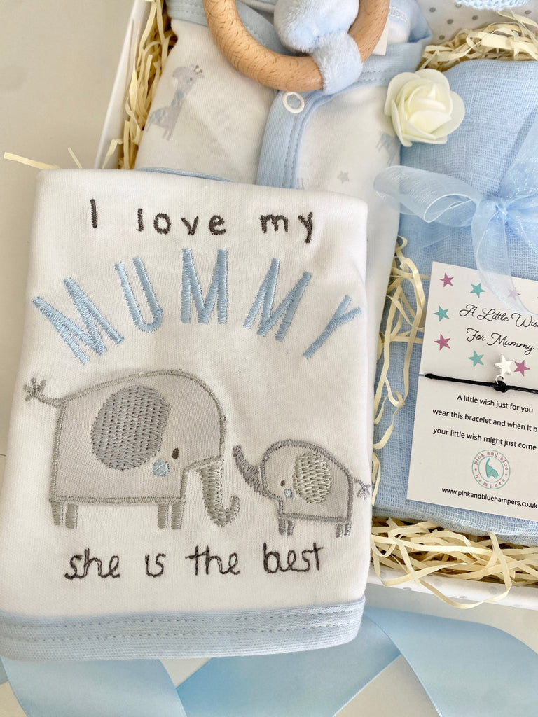 Baby Boy Gift Hamper - Elephant & Hippo Friends - Pink and Blue Hampers