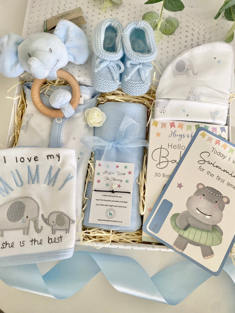 Baby Boy Gift Hamper - Elephant & Hippo Friends - Pink and Blue Hampers