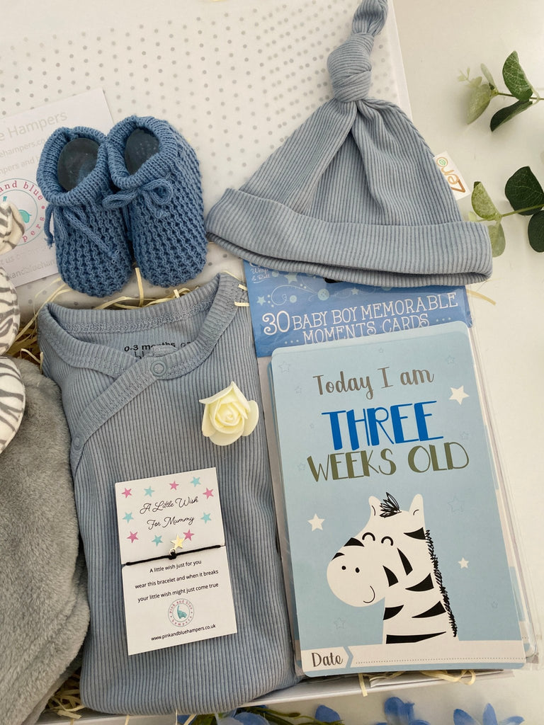 Baby Boy Gift Hamper - Snuggle With Zebra - Pink and Blue Hampers