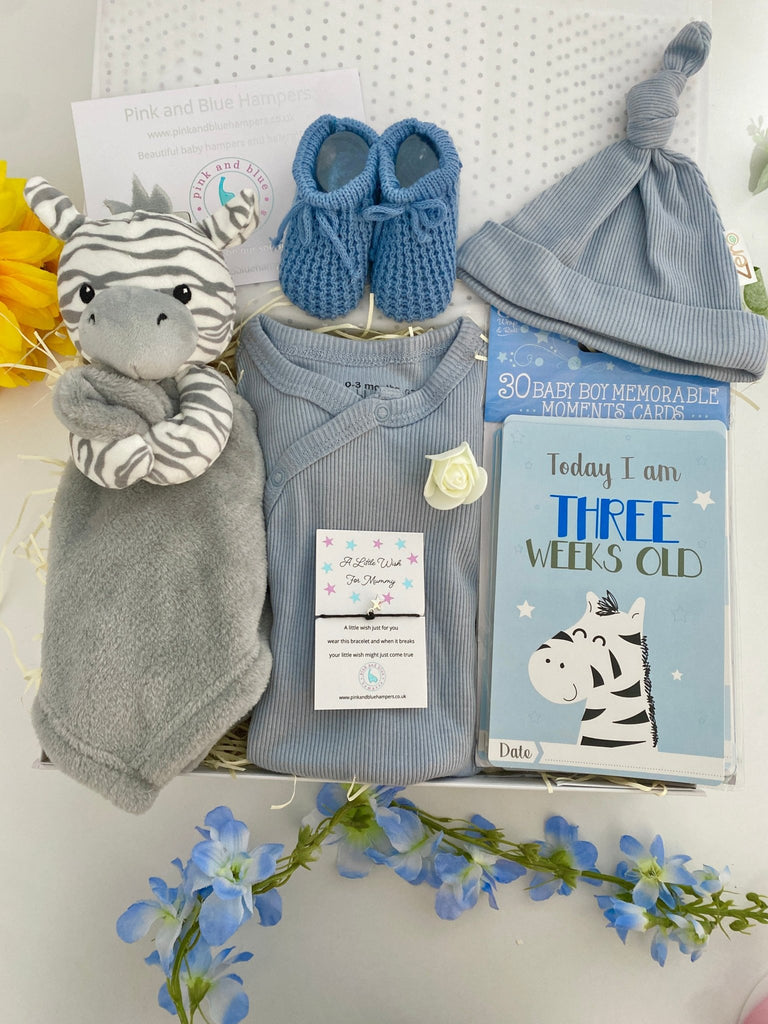 Baby Boy Gift Hamper - Snuggle With Zebra - Pink and Blue Hampers