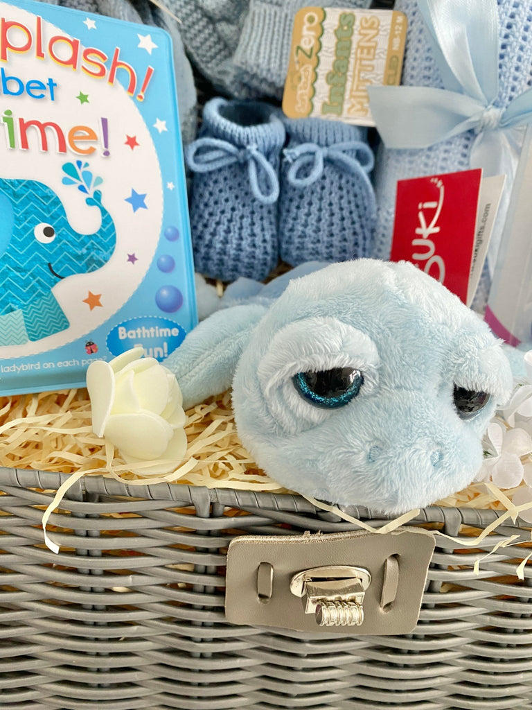 Baby Boy Gift - Splashing Turtle Fun - Pink and Blue Hampers