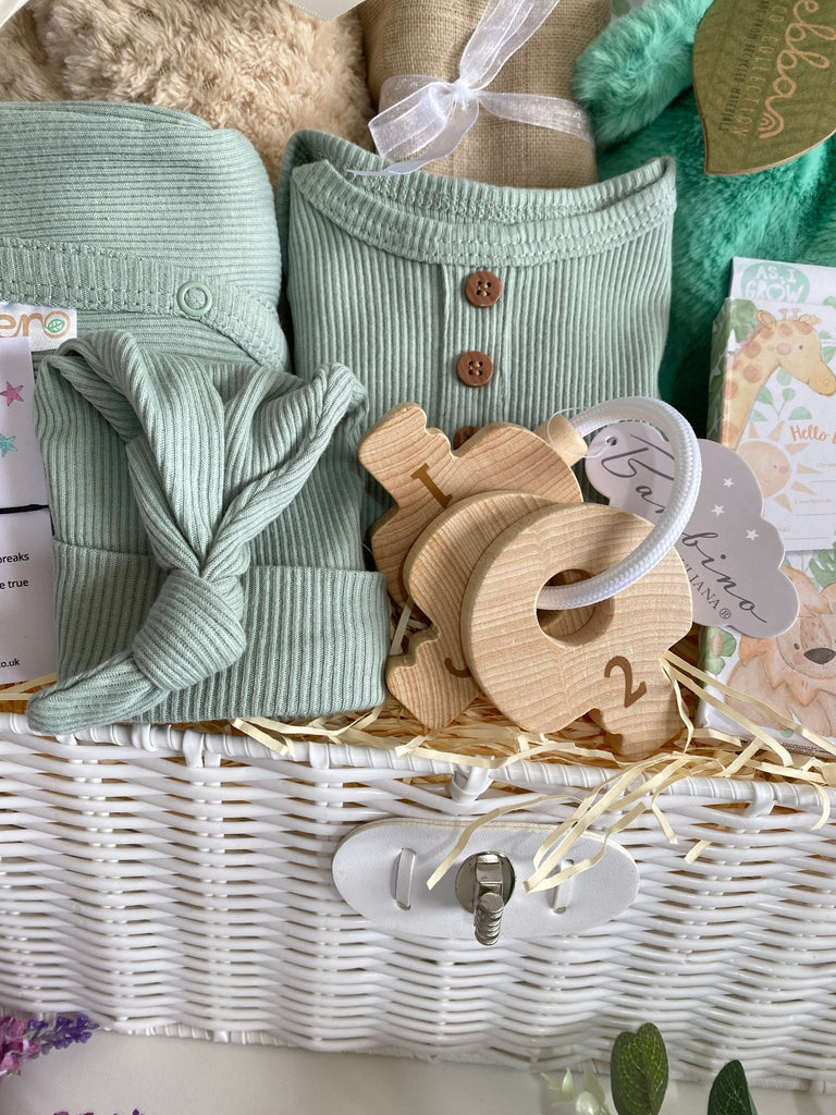 Baby Boy Hamper Basket - Snuggly Little Dragon - Pink and Blue Hampers