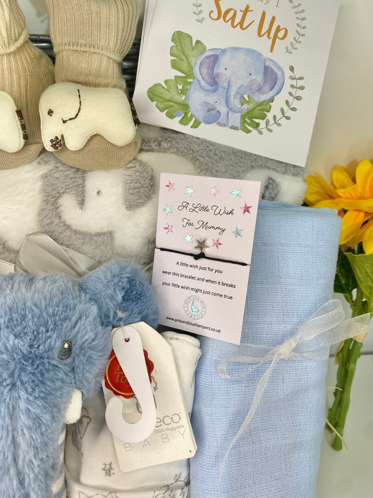 Baby Boy Hamper - Blue Elephant Rattle Friends - Pink and Blue Hampers