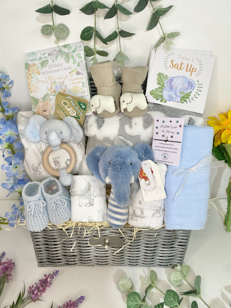 Baby Boy Hamper - Blue Elephant Rattle Friends - Pink and Blue Hampers