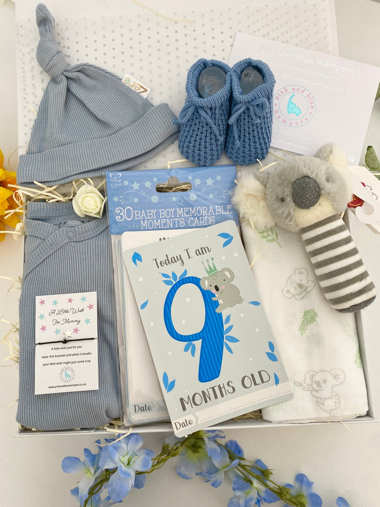 Baby Boy Hamper - Climbing Koala - Pink and Blue Hampers