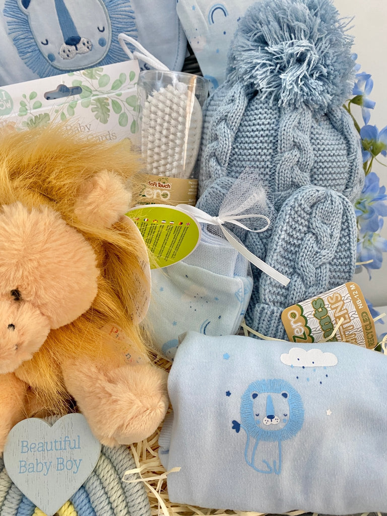 Baby Boy Hamper - Rainbow Roaring Lion - Pink and Blue Hampers