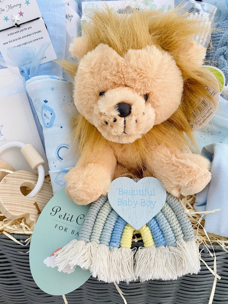 Baby Boy Hamper - Rainbow Roaring Lion - Pink and Blue Hampers