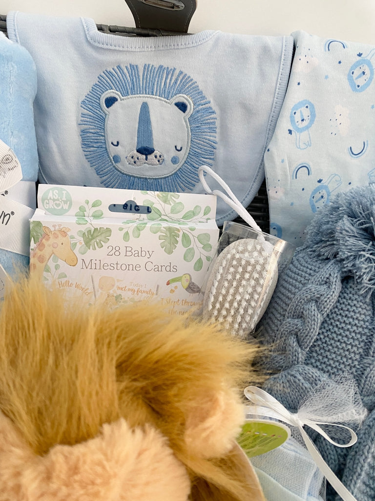 Baby Boy Hamper - Rainbow Roaring Lion - Pink and Blue Hampers