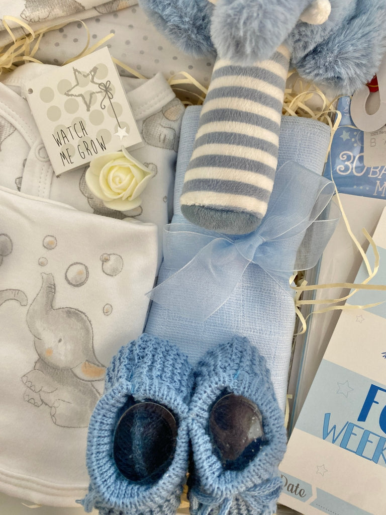 Baby Boy Hamper - Stripy Elephant - Pink and Blue Hampers