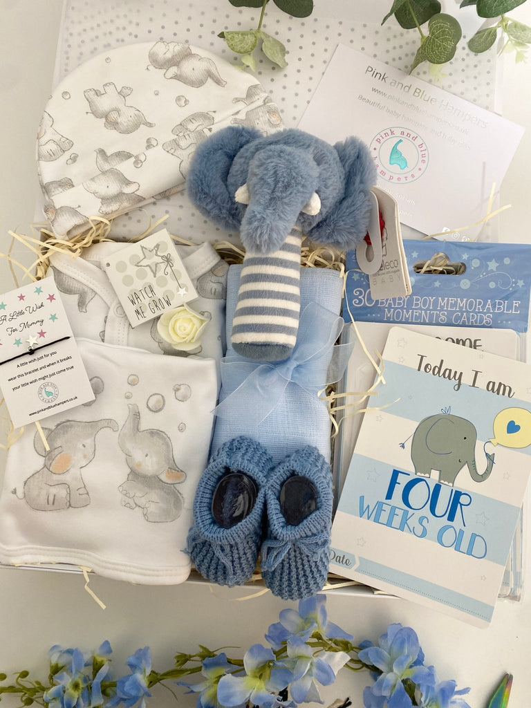 Baby Boy Hamper - Stripy Elephant - Pink and Blue Hampers