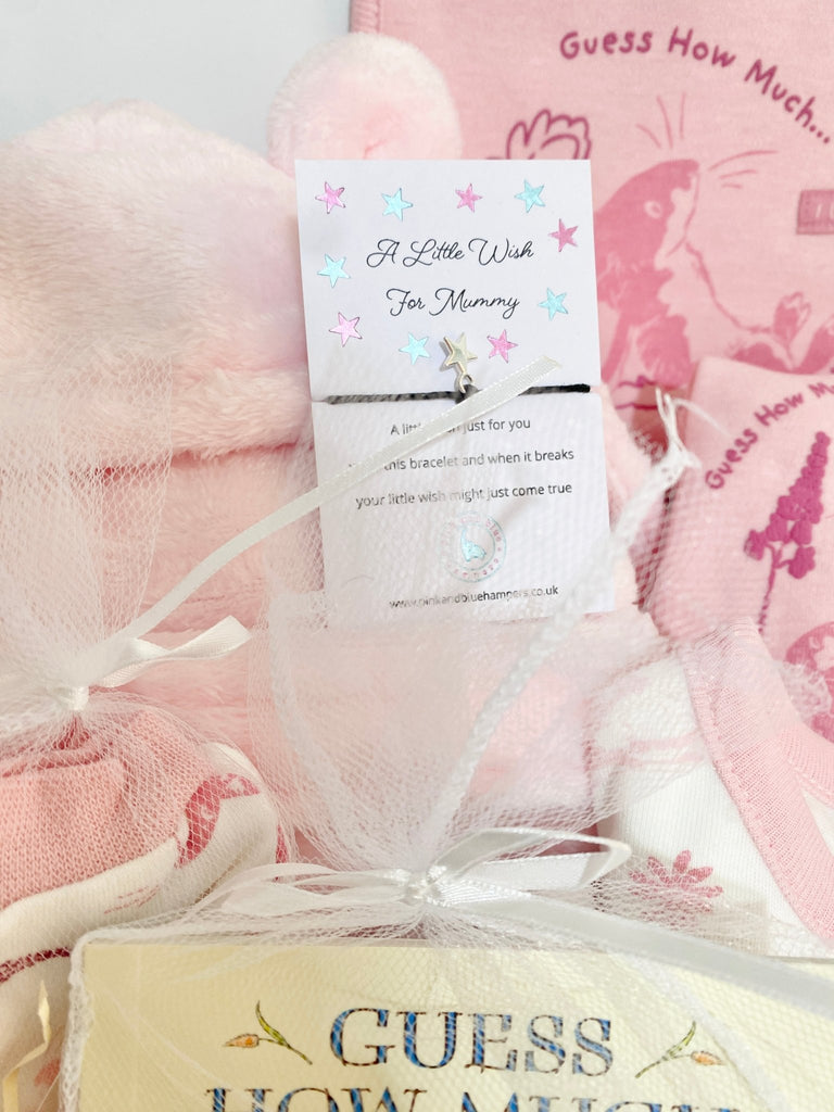 Baby Girl Gift Hamper - Guess How Much I Love You - Pink and Blue Hampers