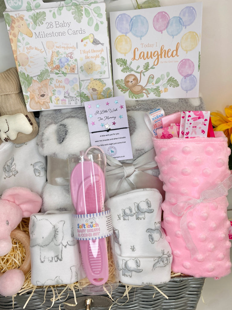 Baby Girl Gift - Pretty Pink Elephant - Pink and Blue Hampers