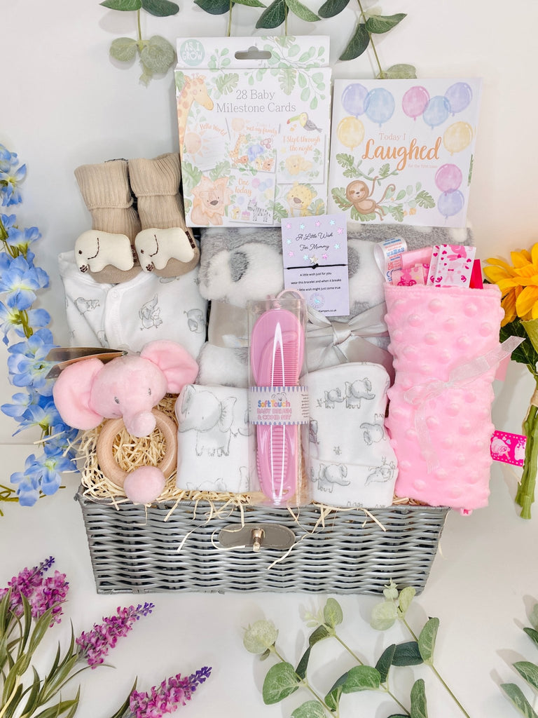 Baby Girl Gift - Pretty Pink Elephant - Pink and Blue Hampers