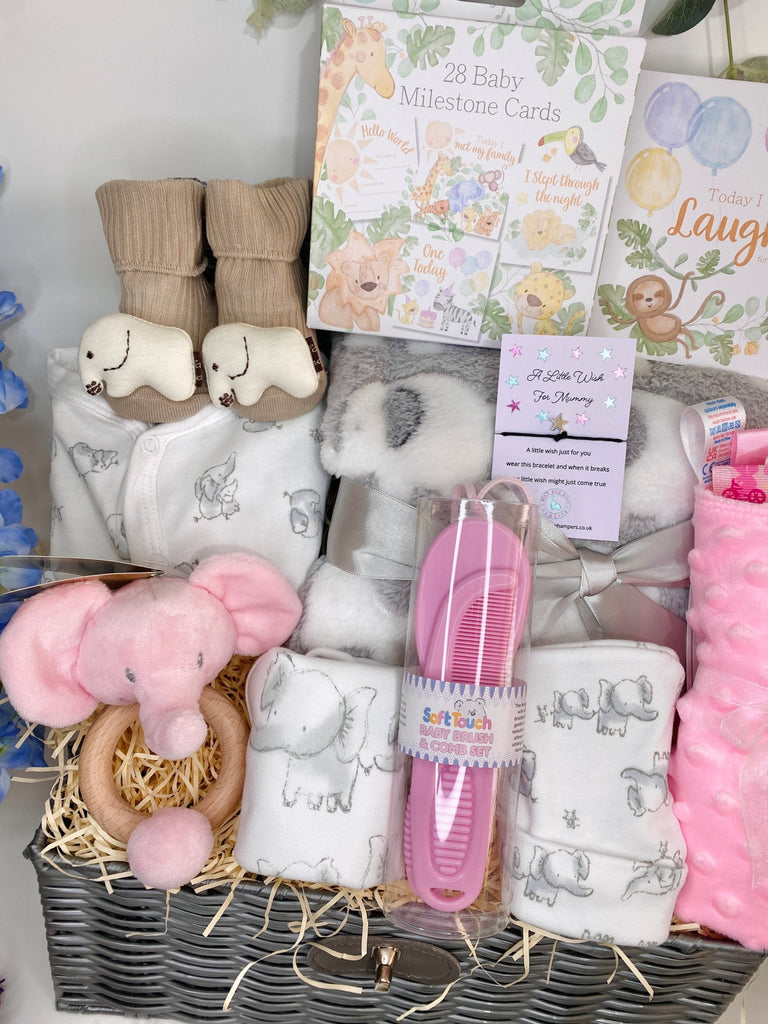 Baby Girl Gift - Pretty Pink Elephant - Pink and Blue Hampers