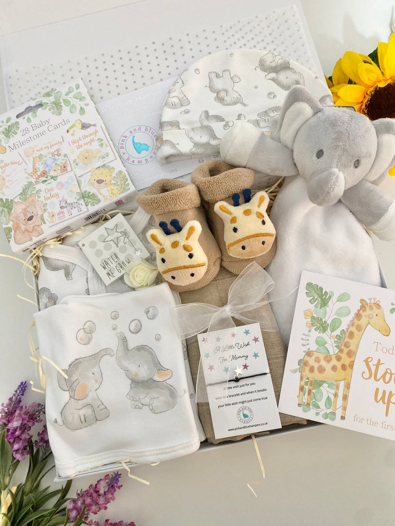 Baby Hamper - Bubbles & Giraffes - Pink and Blue Hampers