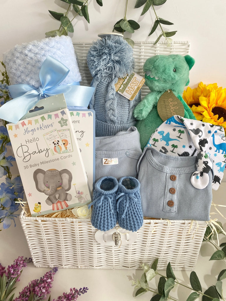 Baby Shower Gift - Baby Boy's Special Moments - Pink and Blue Hampers