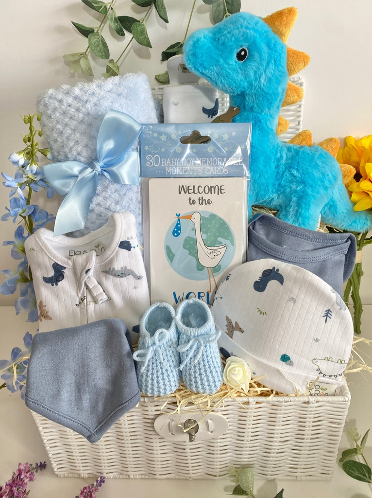 Baby Shower Gift Basket - Welcome To The World - Pink and Blue Hampers