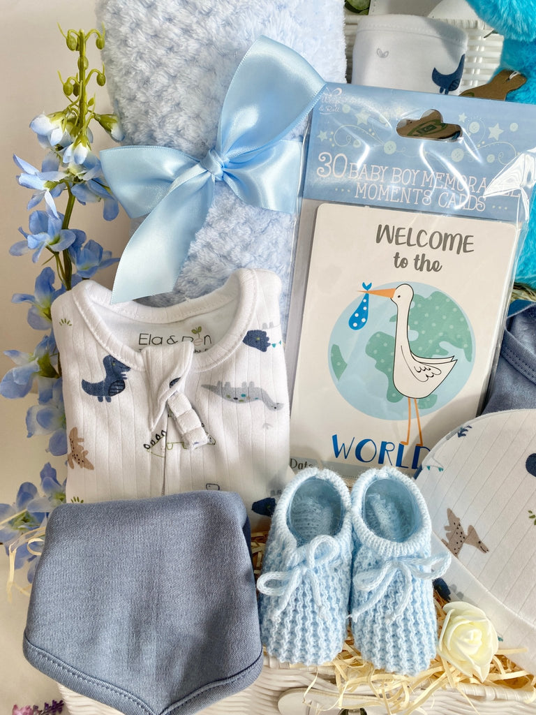 Baby Shower Gift Basket - Welcome To The World - Pink and Blue Hampers