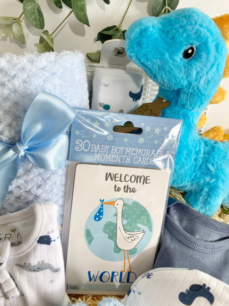 Baby Shower Gift Basket - Welcome To The World - Pink and Blue Hampers