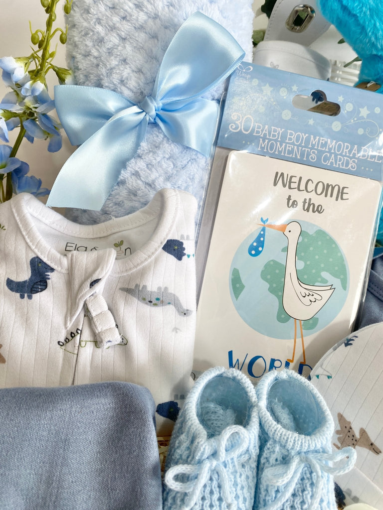 Baby Shower Gift Basket - Welcome To The World - Pink and Blue Hampers