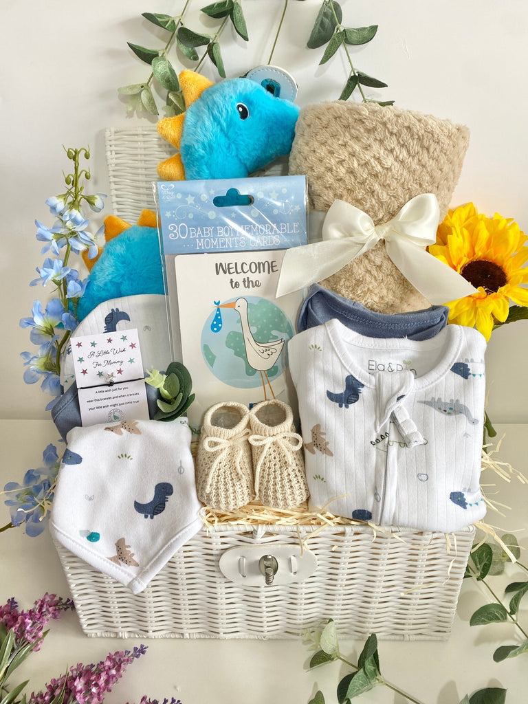 Baby Shower Gift - Blue Dino & Friends - Pink and Blue Hampers