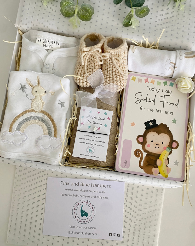 Baby Shower Gift Box - Hungry Monkey - Pink and Blue Hampers