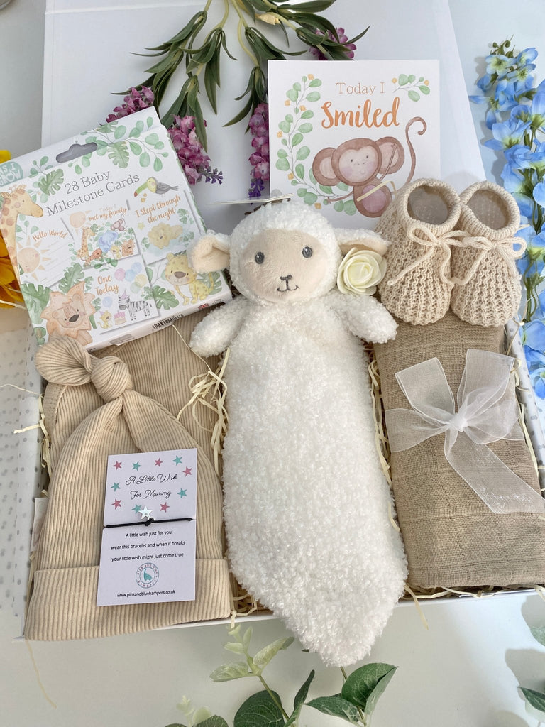 Baby Shower Gift Box - Lovely Lamb Smiles - Pink and Blue Hampers