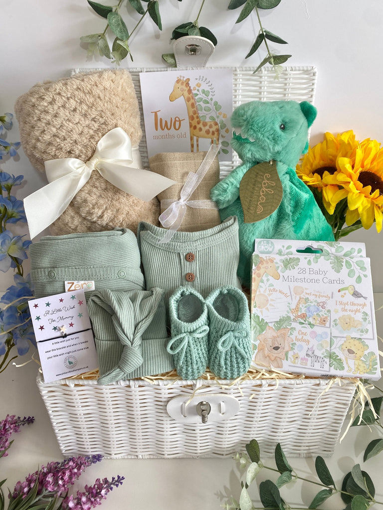 Baby Shower Gift - Darling Dragon - Pink and Blue Hampers