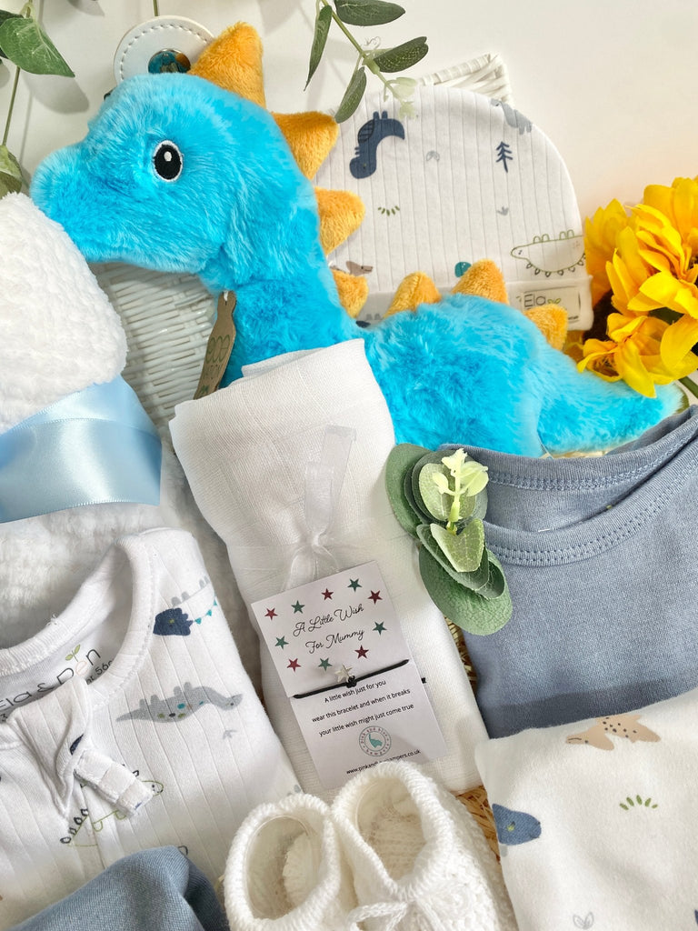 Baby Shower Gift - Little Dinosaurs - Pink and Blue Hampers