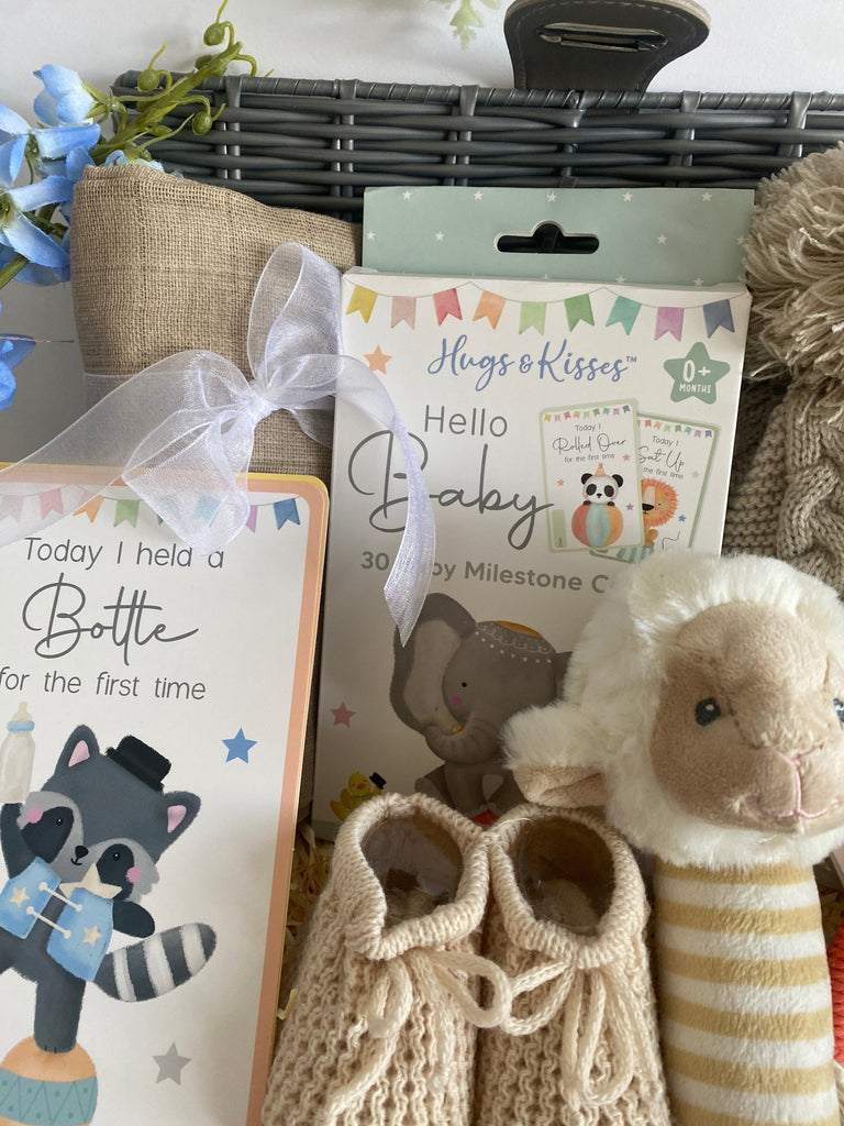 Baby Shower Gift - Loving Little Lamb - Pink and Blue Hampers