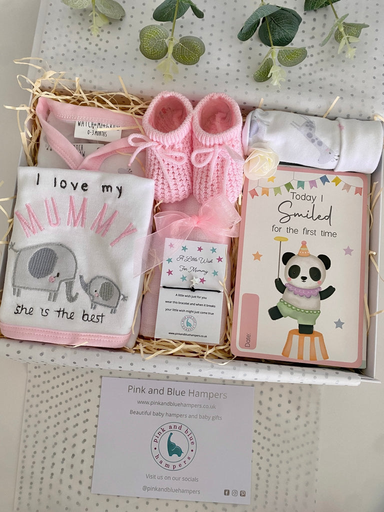 Baby Shower Gift - Panda Smiles - Pink and Blue Hampers