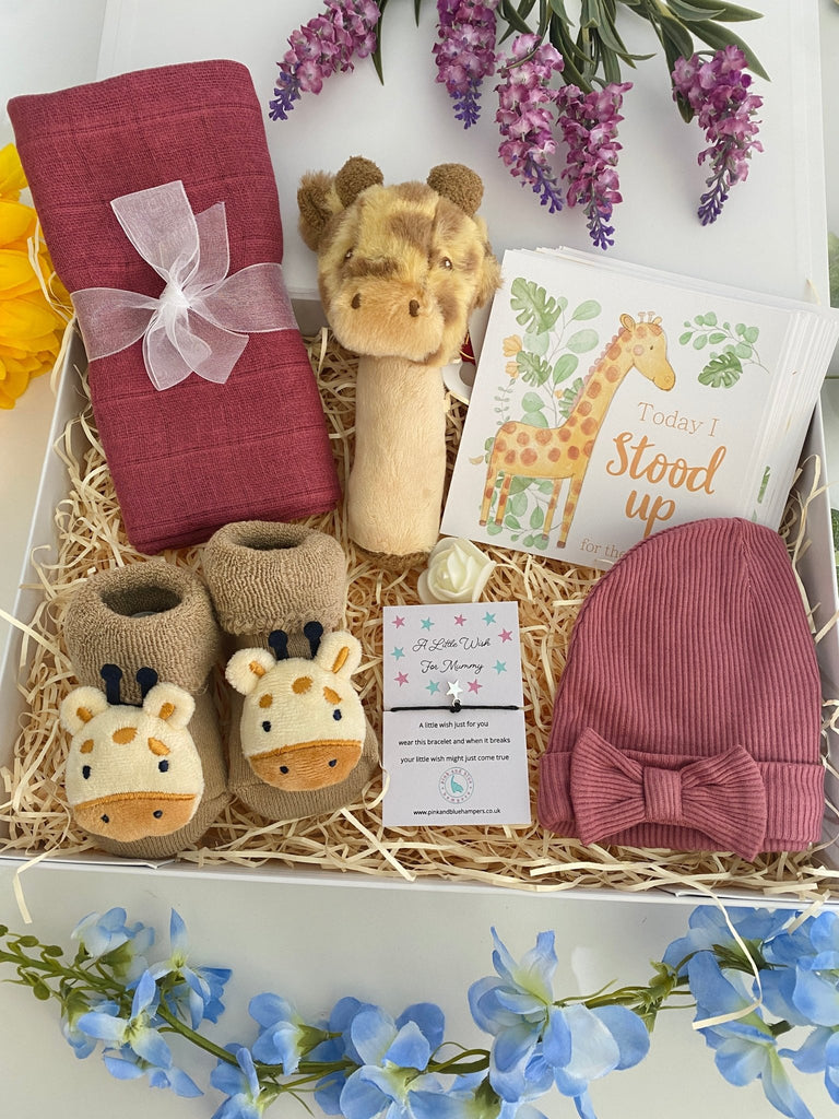 Baby Shower Gift Set - Rosey Giraffe - Pink and Blue Hampers