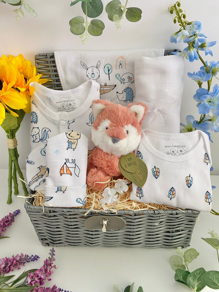 Baby Shower Gift - Sweet Woodland Fox - Pink and Blue Hampers