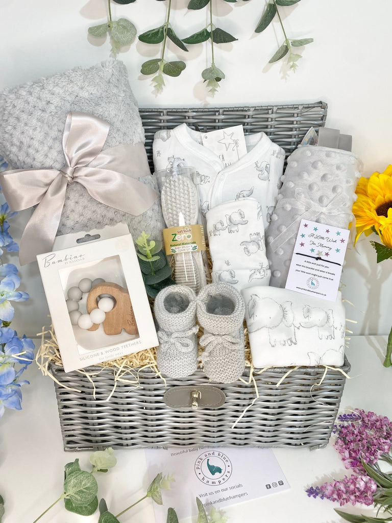 Baby Shower Hamper - Friendly Elephants - Pink and Blue Hampers