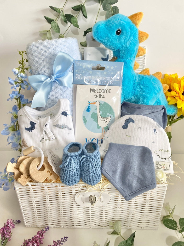 Baby Shower Hamper Gift - Little Boy and His Little Dino - Pink and Blue Hampers