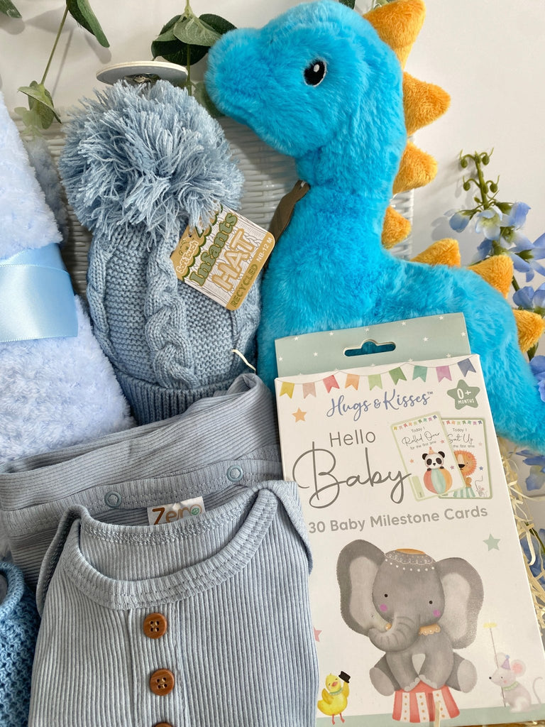 Baby Shower Hamper - Happy Little Dipper Diplodocus - Pink and Blue Hampers