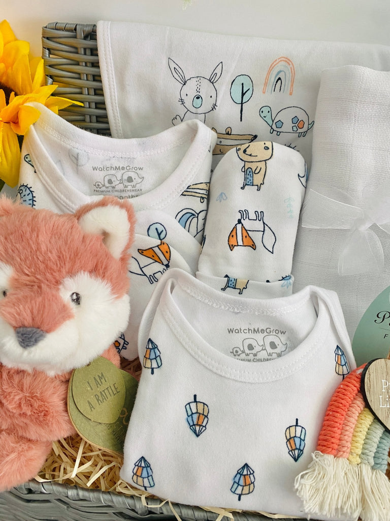 Baby Shower Hamper - Little Rainbow Fox - Pink and Blue Hampers