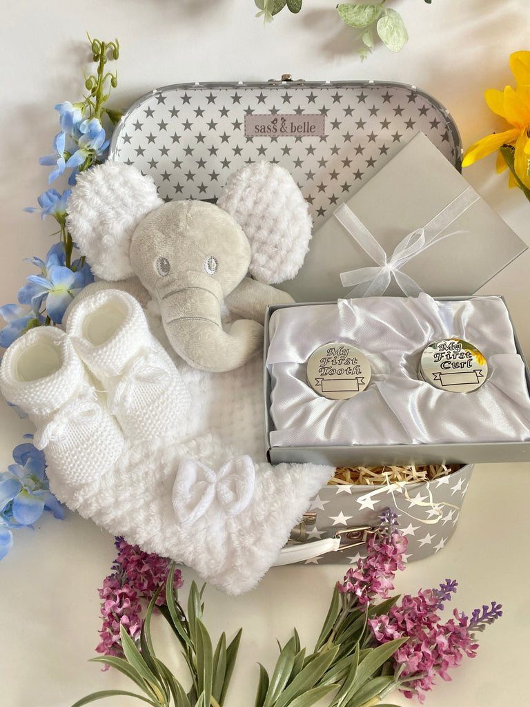 Christening Baby Gift - Sensory Elephant - Pink and Blue Hampers