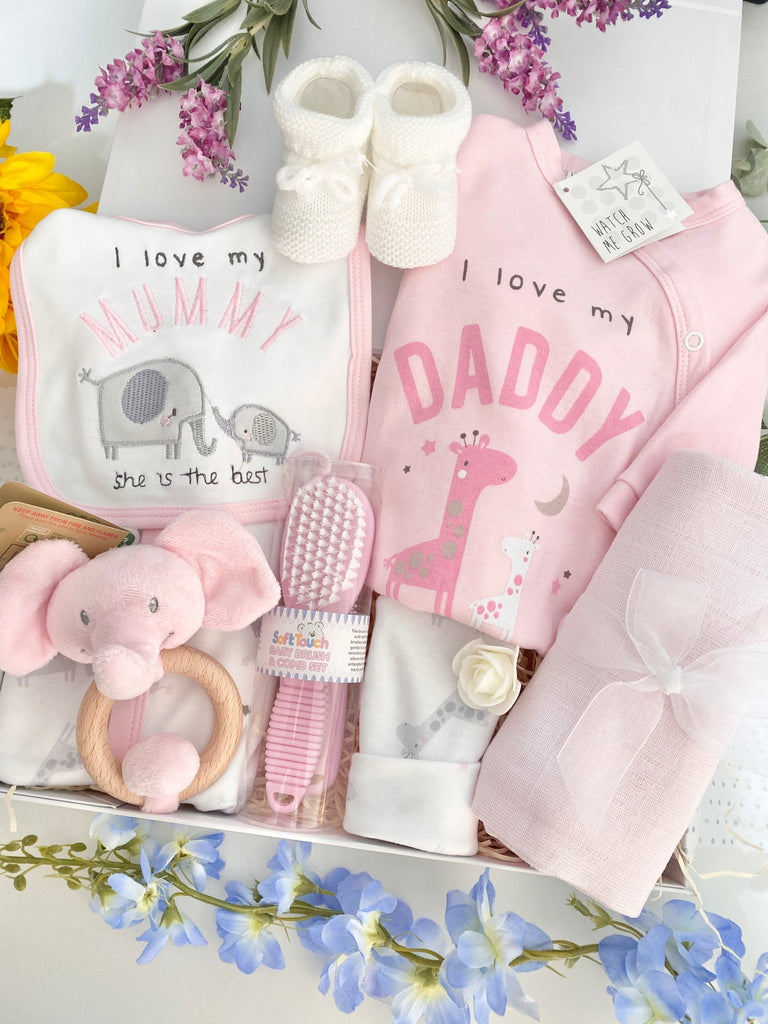 Gift For New Mummy & Daddy - Baby Girls Love - Pink and Blue Hampers