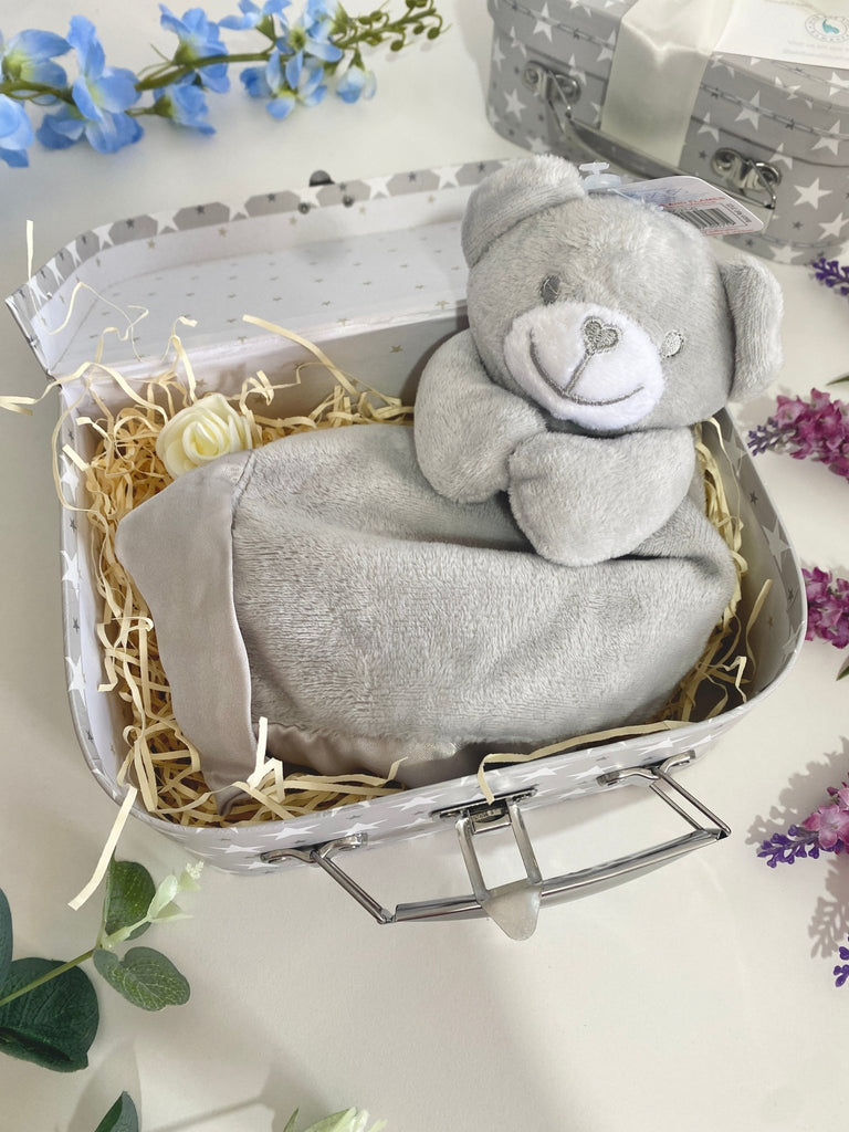 Grey Bear Comforter In Gift Box - Pink and Blue Hampers