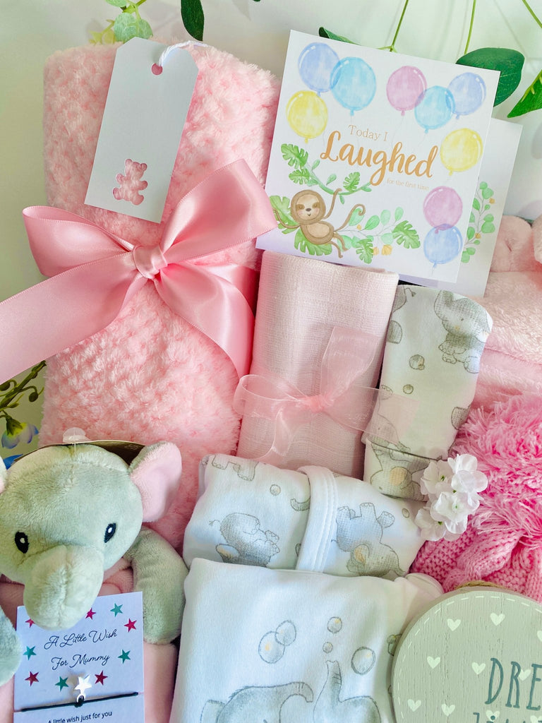 Luxurious Large Baby Girl Elephant friends Baby Hamper - Pink and Blue Hampers