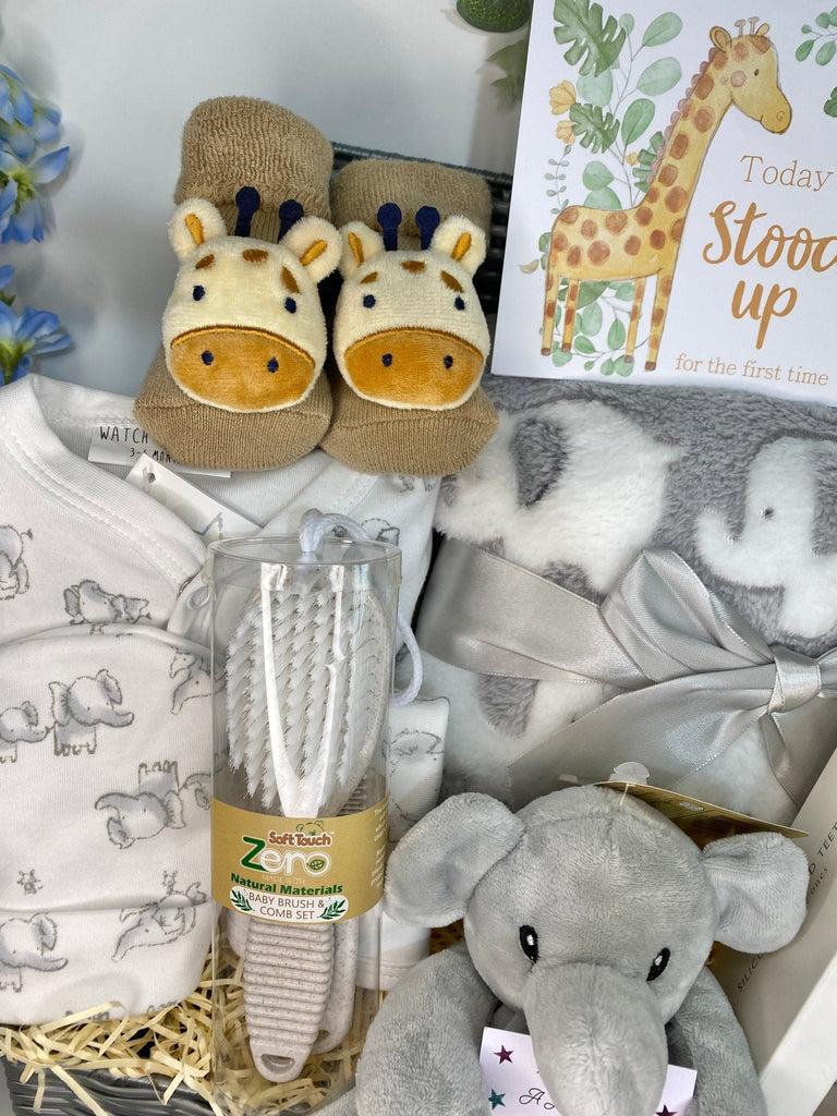 Maternity Gift - Adorable Giraffe & Sweet Elephant - Pink and Blue Hampers