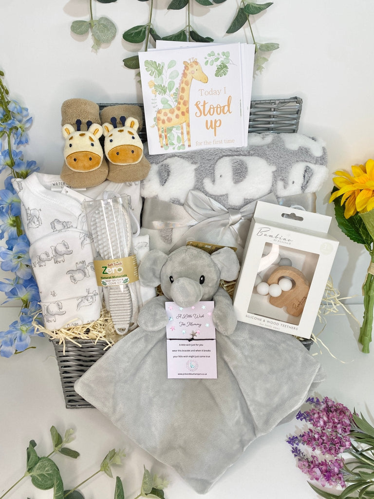 Maternity Gift - Adorable Giraffe & Sweet Elephant - Pink and Blue Hampers