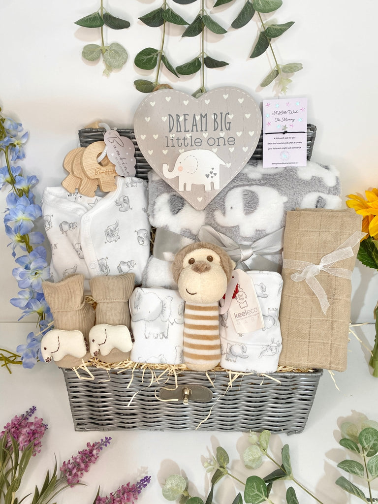 Maternity Gift - Smiley Monkey - Pink and Blue Hampers