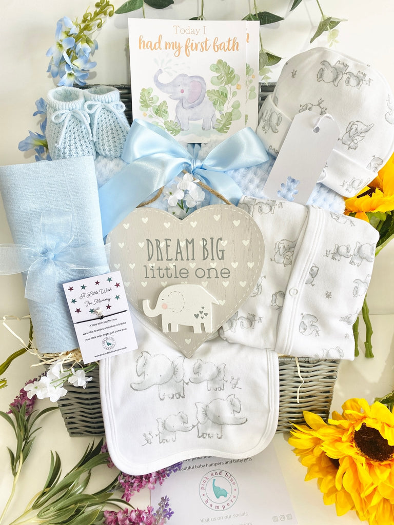 Maternity Gift - Splashing Elephant Fun - Pink and Blue Hampers